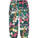 Supreme/The North Face Trekking Zip-Off Belted Pant supreme-the-north-face-trekking-zip-off-belted-pant фото 1