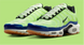 Nike Air Max Plus SE DZ0480-300-43 фото 1