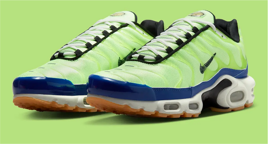 Nike Air Max Plus SE DZ0480-300-43 фото